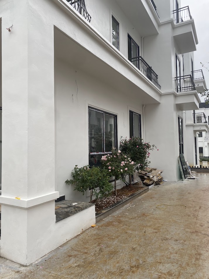 Mặt tiền nhà phố sơn trắng với cửa kính khung đen và bồn cây hoa hồng trước hiên nhà